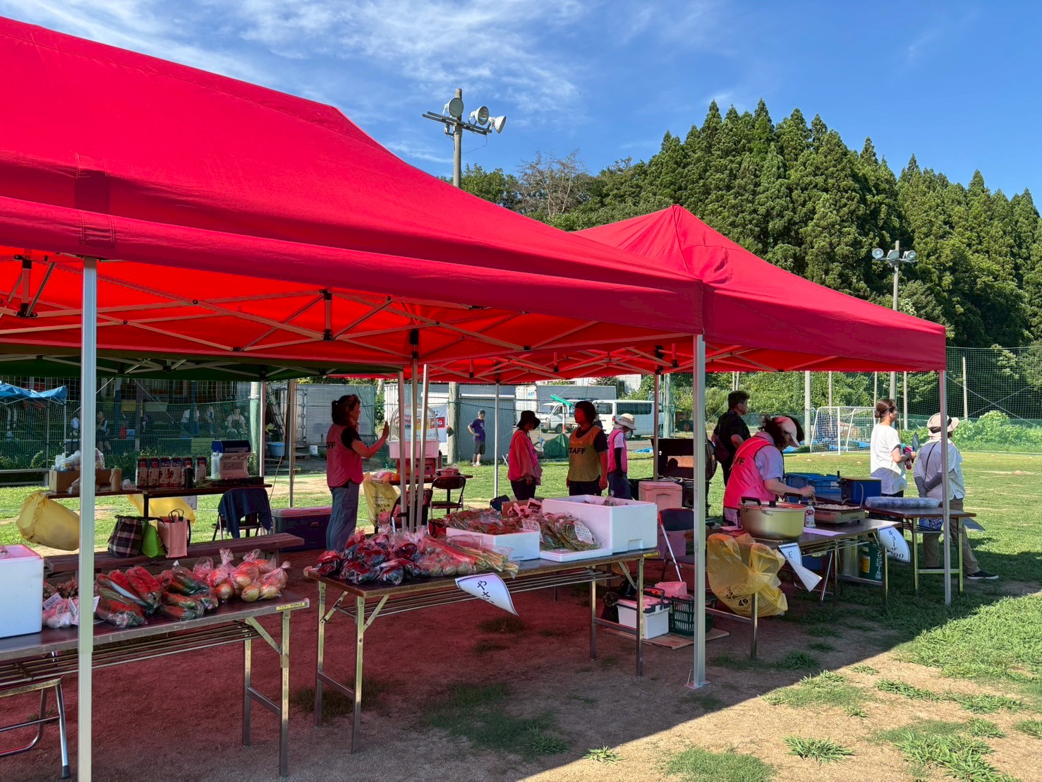 秋田市 サッカー 子供